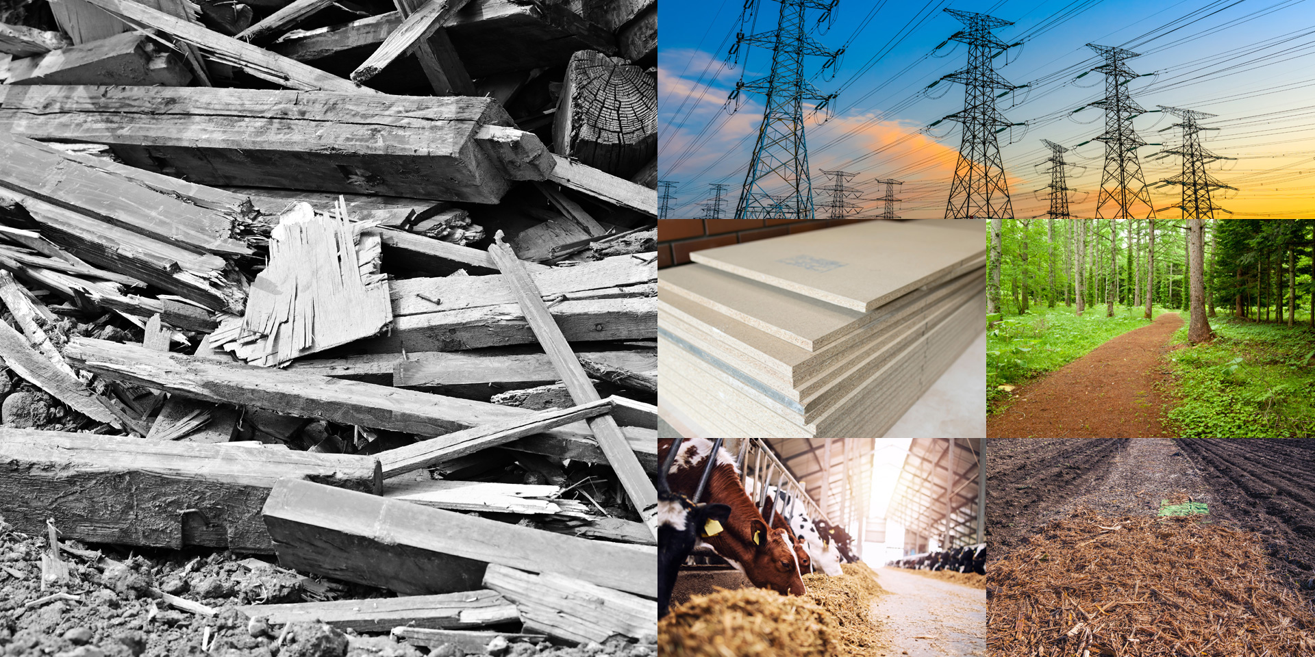 業務内容イメージ