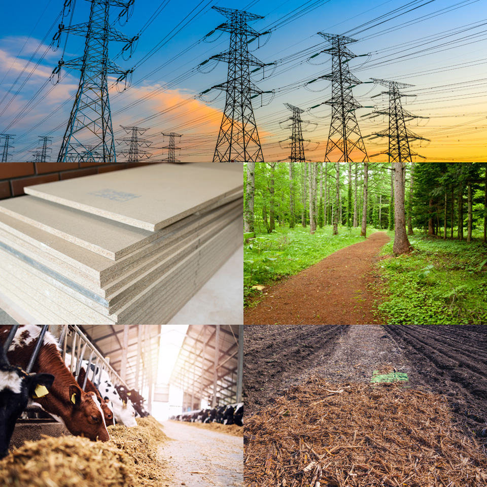 業務内容イメージ